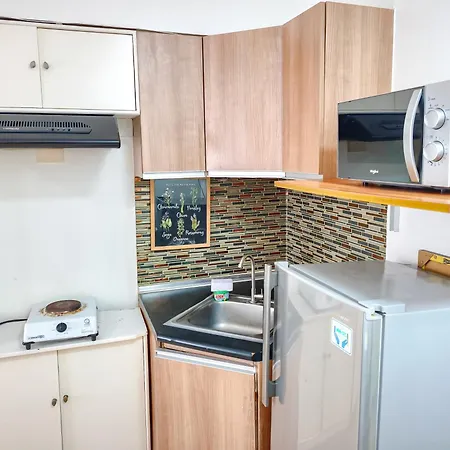 Deluxe Studio Unit Inside It Park 12